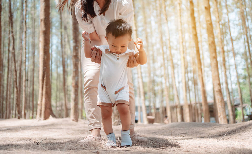 赤ん坊の牧草地の芝生の上で森の中で最初の一歩を踏み出す。母は歩くこと、赤ん坊の成長および開発の概念を学ぶために子供を支える. - 写真・画像