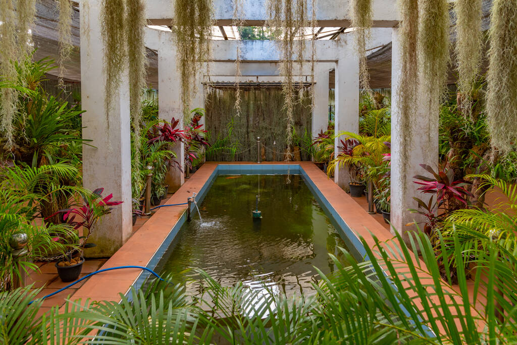 Koninklijke botanische tuin in Kandy, Sri Lanka. - Foto, afbeelding