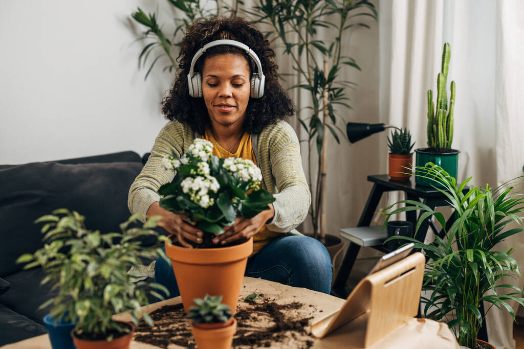 Een vrouw is het potten van een plant thuis tijdens het luisteren naar muziek met behulp van haar koptelefoon - Foto, afbeelding