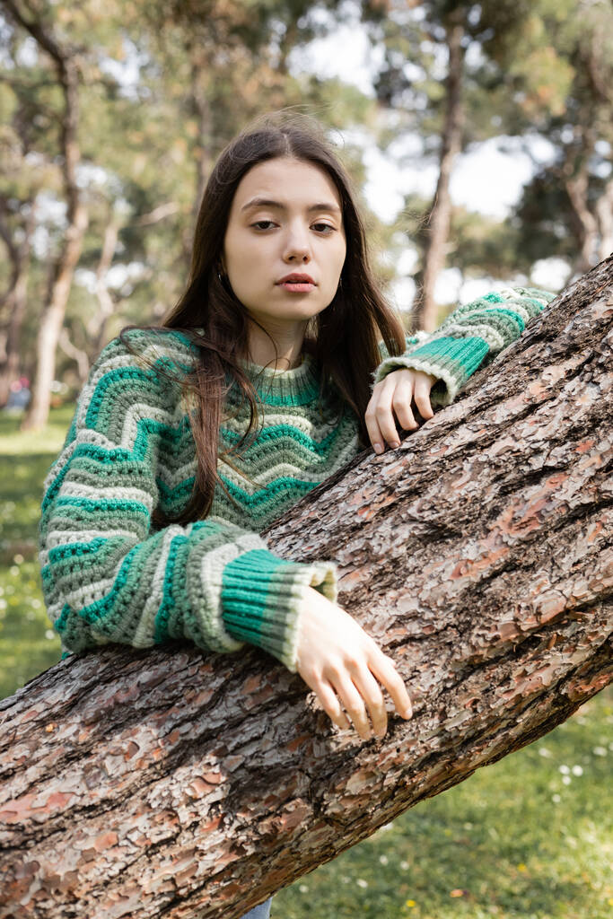Молодая брюнетка в свитере смотрит в камеру возле ствола дерева в летнем парке  - Фото, изображение