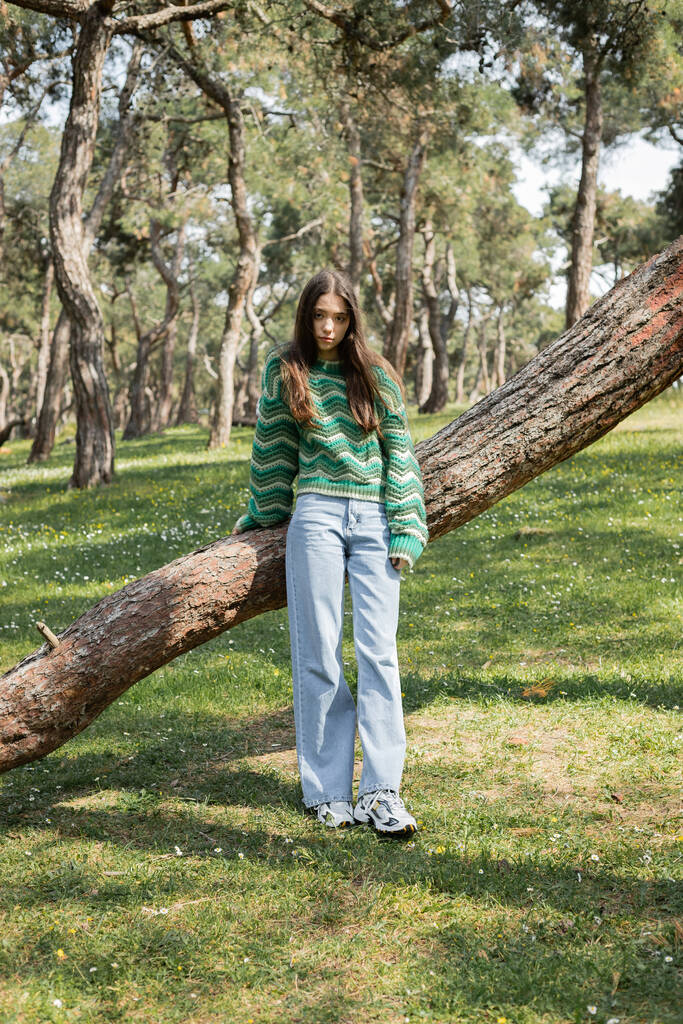 Молода жінка в светрі і джинсах стоїть біля дерева в літньому парку
  - Фото, зображення