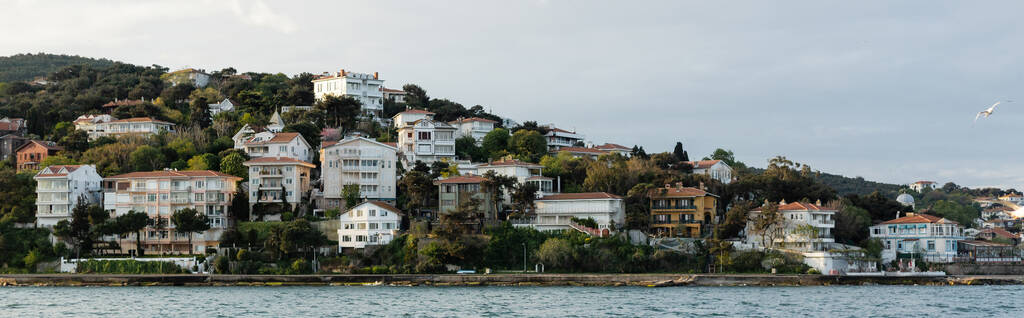 lokki lentää sinisen meren yläpuolella lähellä eri taloja Istanbulin rannikolla, banneri  - Valokuva, kuva