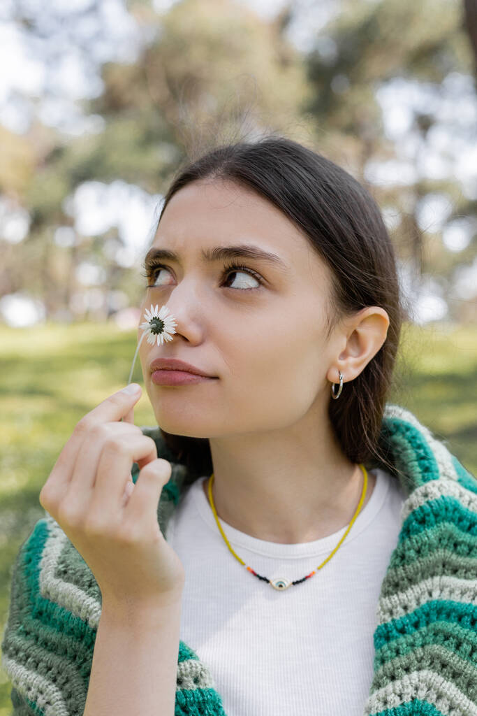 jonge brunette vrouw ruiken madeliefje en kijken weg in park  - Foto, afbeelding