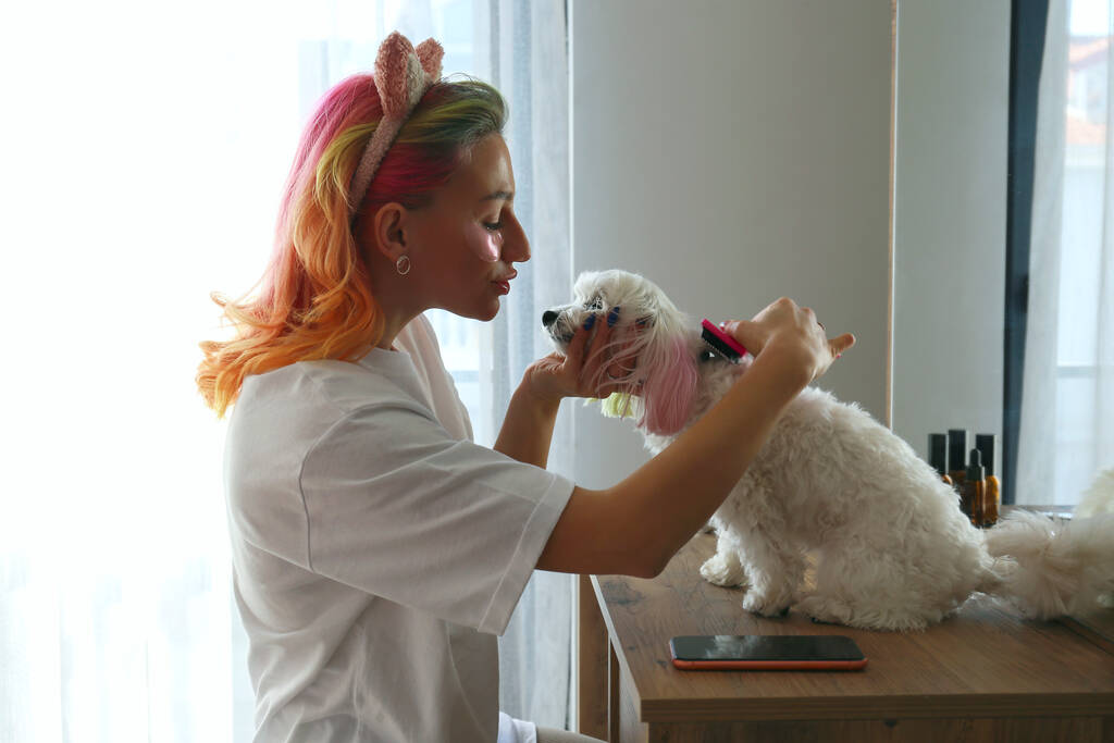 Jovem mulher com cabelos multicoloridos e sob manchas nos olhos escovando seu cão maltês em casa. Cães que se parecem com o conceito de seus donos. Fechar, copiar espaço, fundo. - Foto, Imagem