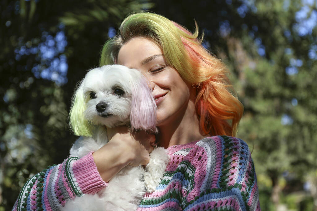 Jonge vrouw draagt kleurrijke gebreide trui in het park knuffelend haar Maltese hond. Vrouw met veelkleurig haar en haar pup met kleur afgestemd oren. Kopieer ruimte, achtergrond. - Foto, afbeelding