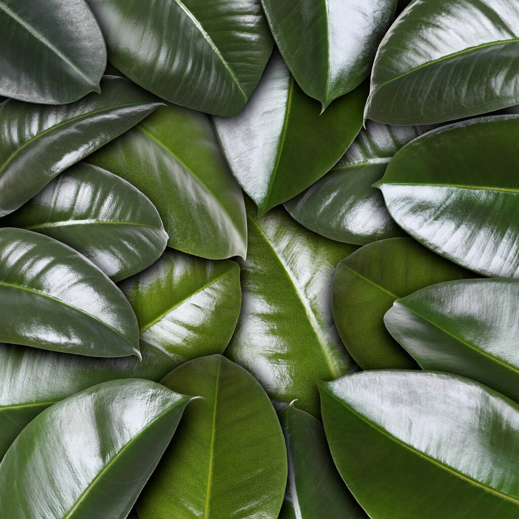 Sok friss zöld levelek texturált háttér - Fotó, kép