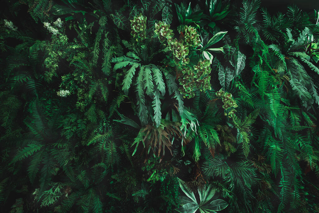 ハーブの壁、植物の壁、自然の緑の壁紙と背景。自然壁だ。緑の森の自然背景 - 写真・画像