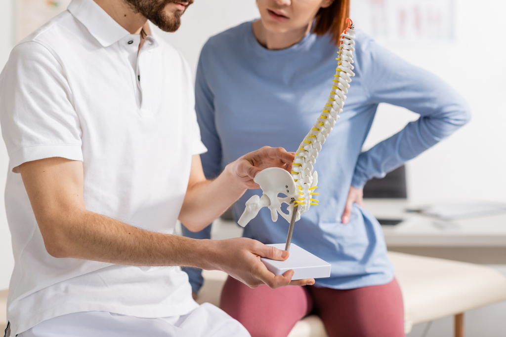 oříznutý pohled na osteopata zobrazující pacientovi model páteře během schůzky v rehabilitačním centru - Fotografie, Obrázek