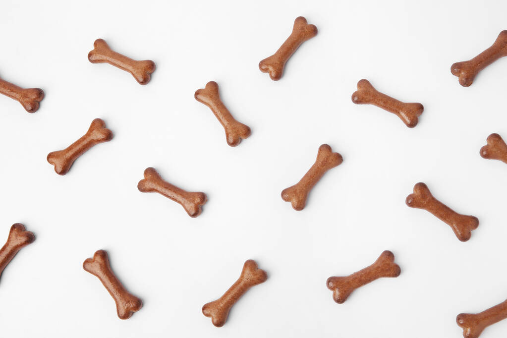 Composição de leigos planos com biscoitos de cão em forma de osso no fundo branco - Foto, Imagem