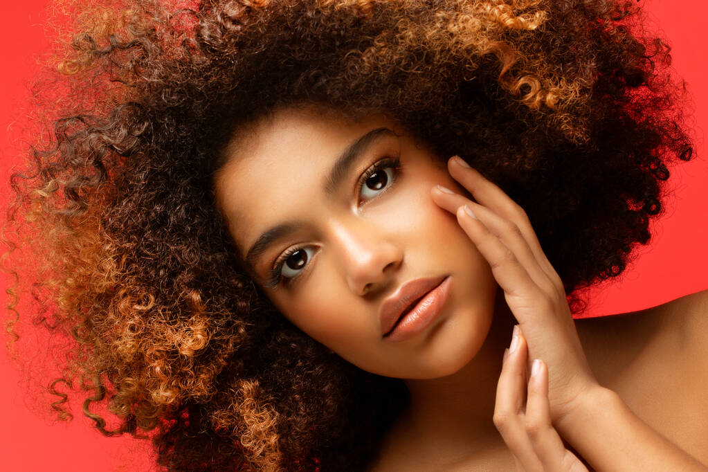 jovem mulher americana africana elegante com cabelo afro. Maquiagem de glamour. - Foto, Imagem