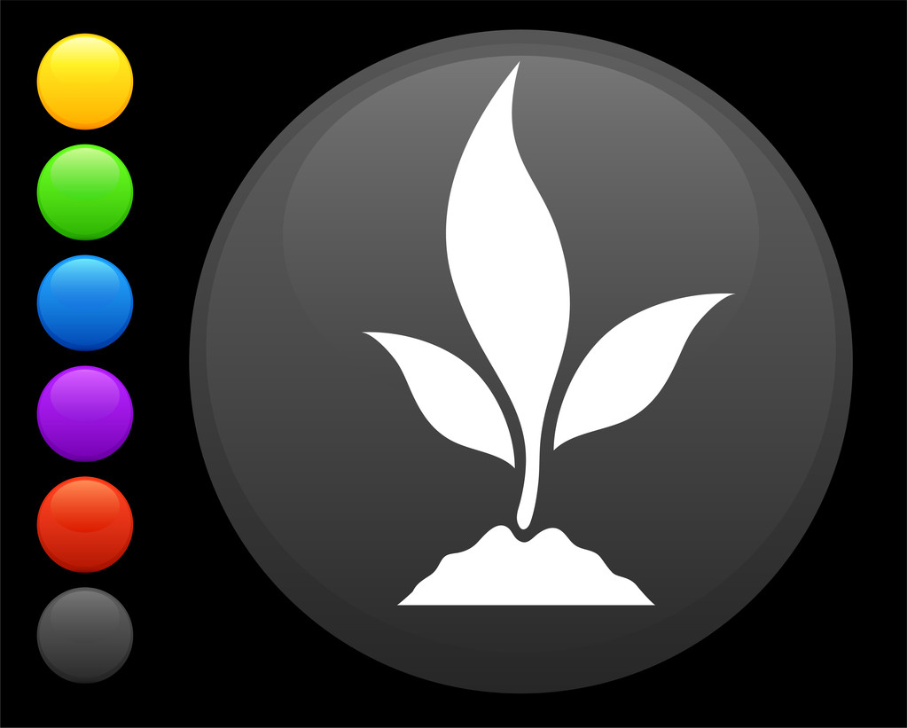 icono de planta en el botón redondo de Internet
 - Vector, Imagen