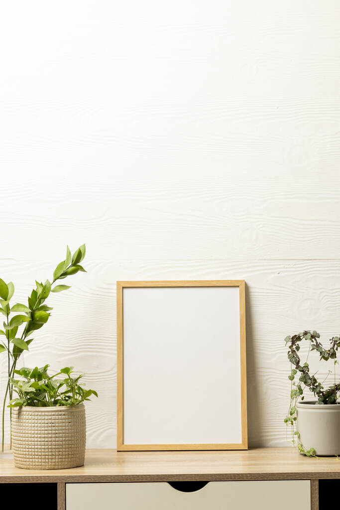 Vertikální z prázdného dřevěného rámu s kopírovacím prostorem a rostlinami v hrncích na stole u bílé stěny. Falešná šablona rámu, design interiéru a dekorace. - Fotografie, Obrázek