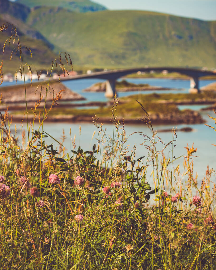 Paisaje escénico noruego en el archipiélago de Lofoten. Carretera y puente que conecta las islas sobre el mar. Ruta turística nacional 10 Noruega. - Foto, Imagen