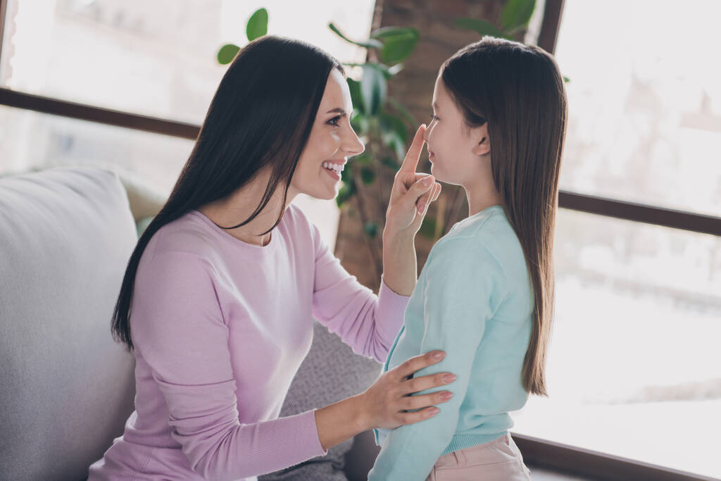 Fotografie veselý hezká matka dcera nosit ležérní oblečení baví dotýkání prstem nos v domě pokoj. - Fotografie, Obrázek