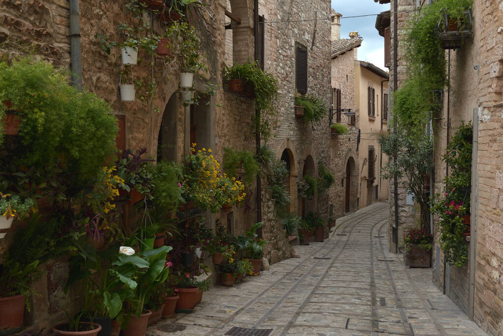 Květiny na starobylé ulici. Spello se nachází v oblasti Umbrie, Itálie - Fotografie, Obrázek