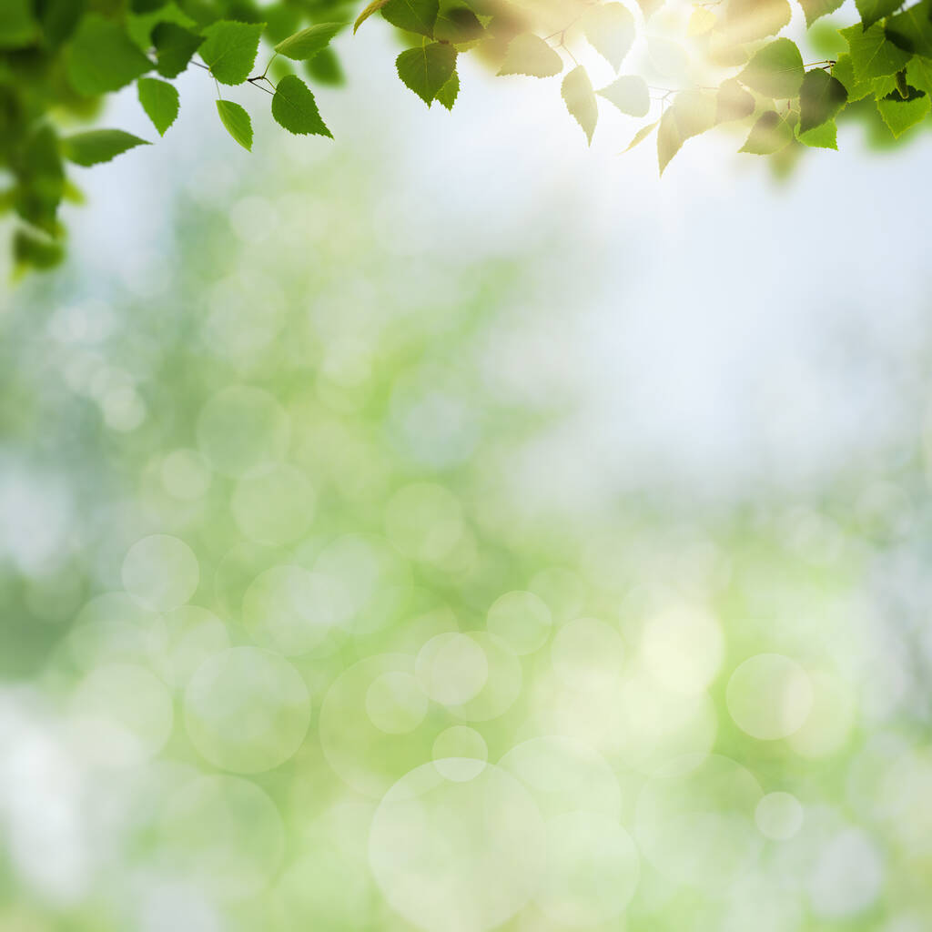 Летний фон с березовой листвой на размытом фоне - Фото, изображение