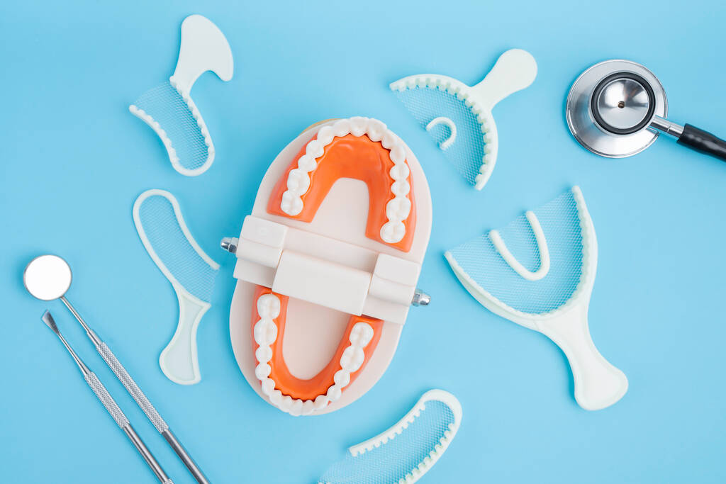 Model zębów i instrument dentystyczny na niebieskim tle. - Zdjęcie, obraz