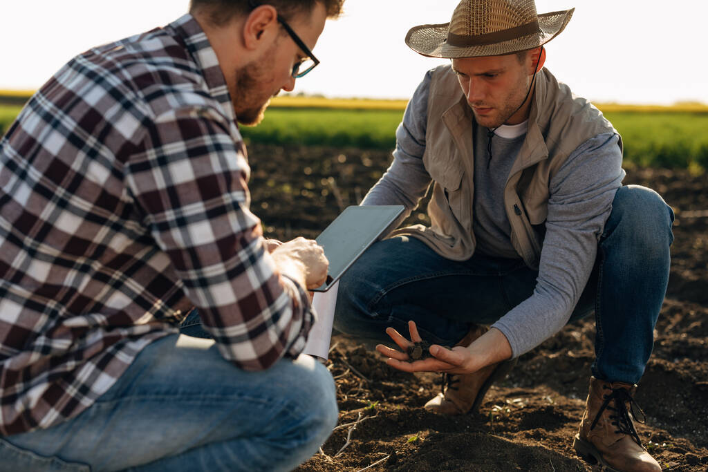 Rolnik i naukowiec pracują razem w terenie, aby sprawdzić płodność gleby. - Zdjęcie, obraz