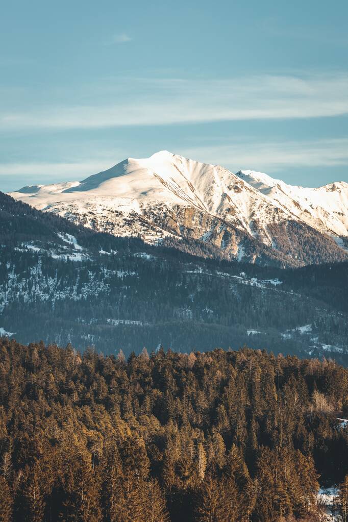 Eine vertikale Aufnahme des Waldes vor dem Hintergrund schneebedeckter Berge. - Foto, Bild