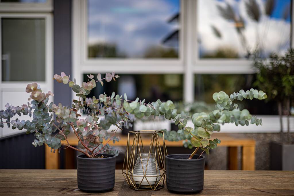 Una bella scena di piante e una ciotola per l'arredamento domestico su un tavolo di legno - Foto, immagini