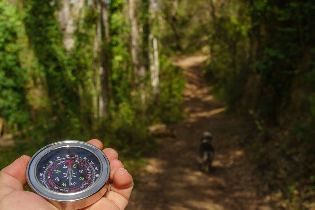 muž orientující se s kompasem v ruce s lesní stezkou v pozadí - Fotografie, Obrázek