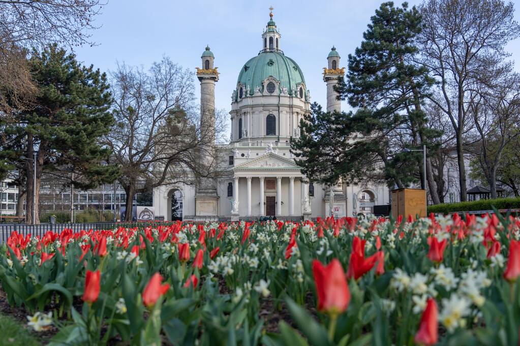 Un plan fascinant de la Karlskirche (église St Charles) avec des tulipes devant, à Vienne Autriche - Photo, image