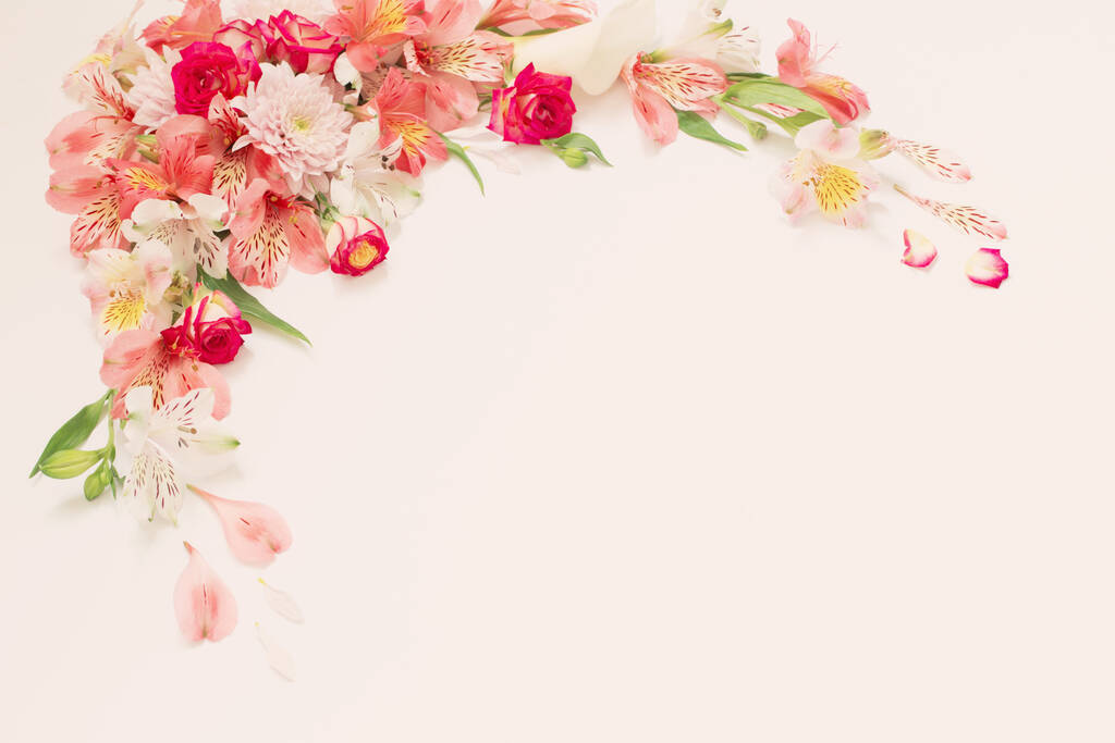Альстромерия цветы на белом фоне
 - Фото, изображение