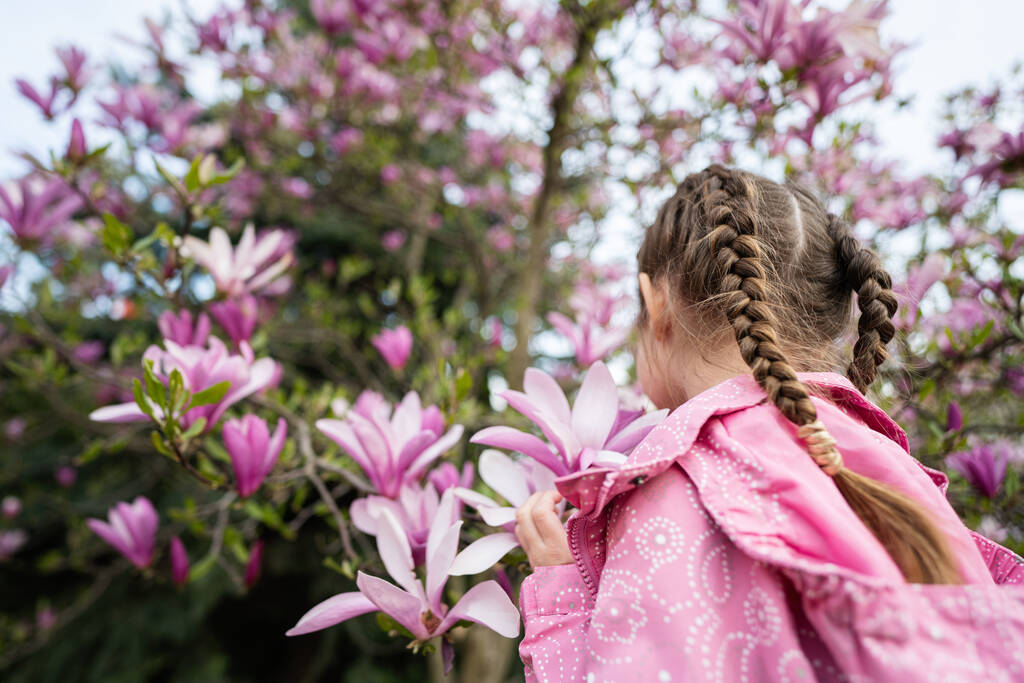 Pembe ceketli anaokulu kızı manolya çiçekli ağacın yanında güzel bir bahar gününün tadını çıkarıyor. İlkbahar aktiviteleri. - Fotoğraf, Görsel