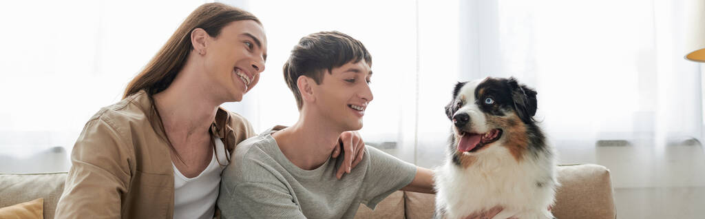 Giovane e sorridente coppia omosessuale in abiti casual guardando peloso cane pastore australiano mentre riposava sul divano in soggiorno a casa, banner  - Foto, immagini
