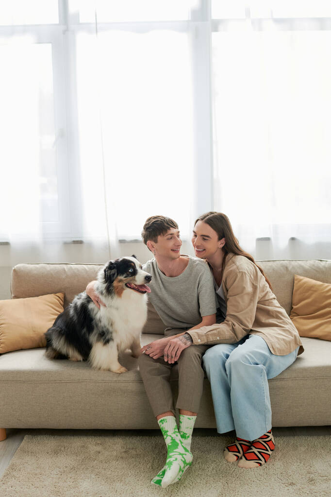 Alegre pareja del mismo sexo en ropa casual y calcetines hablando cerca peludo perro pastor australiano sentado en el sofá en la moderna sala de estar en casa  - Foto, imagen
