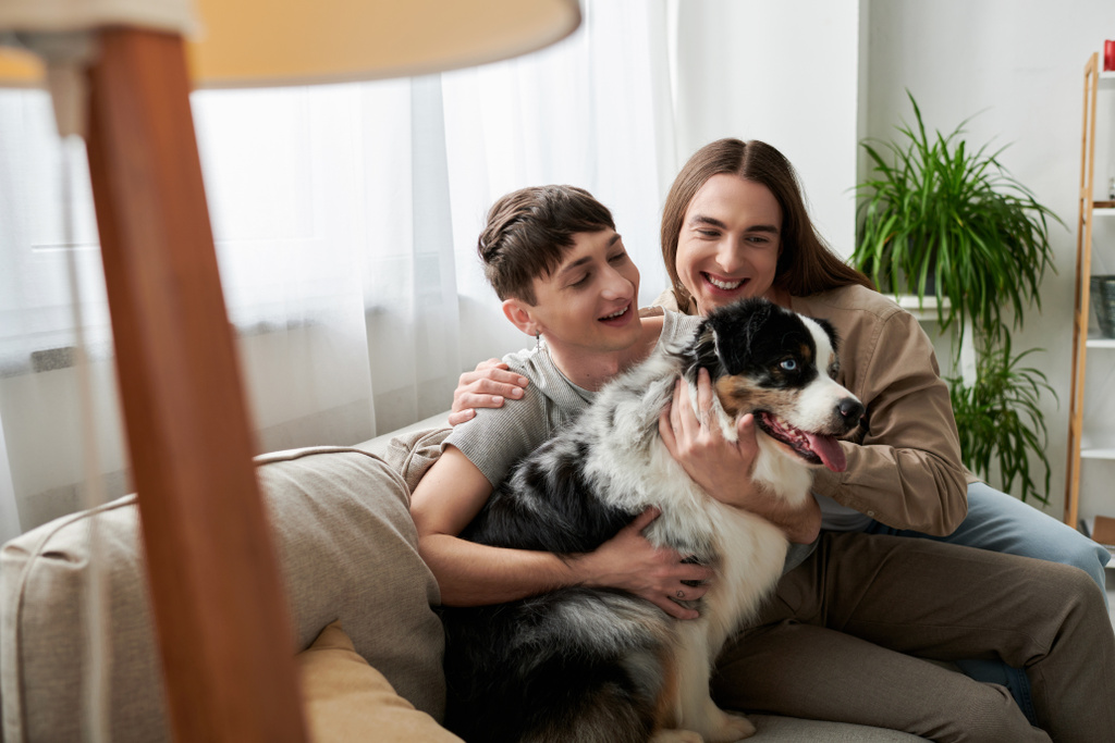 Χαμογελώντας lgbt ζευγάρι σε casual ρούχα χαϊδεύοντας φιλικό αυστραλιανό ποιμενικό σκυλί, ενώ κάθεται στον καναπέ κοντά θολή λάμπα δαπέδου στο σύγχρονο σαλόνι στο σπίτι  - Φωτογραφία, εικόνα