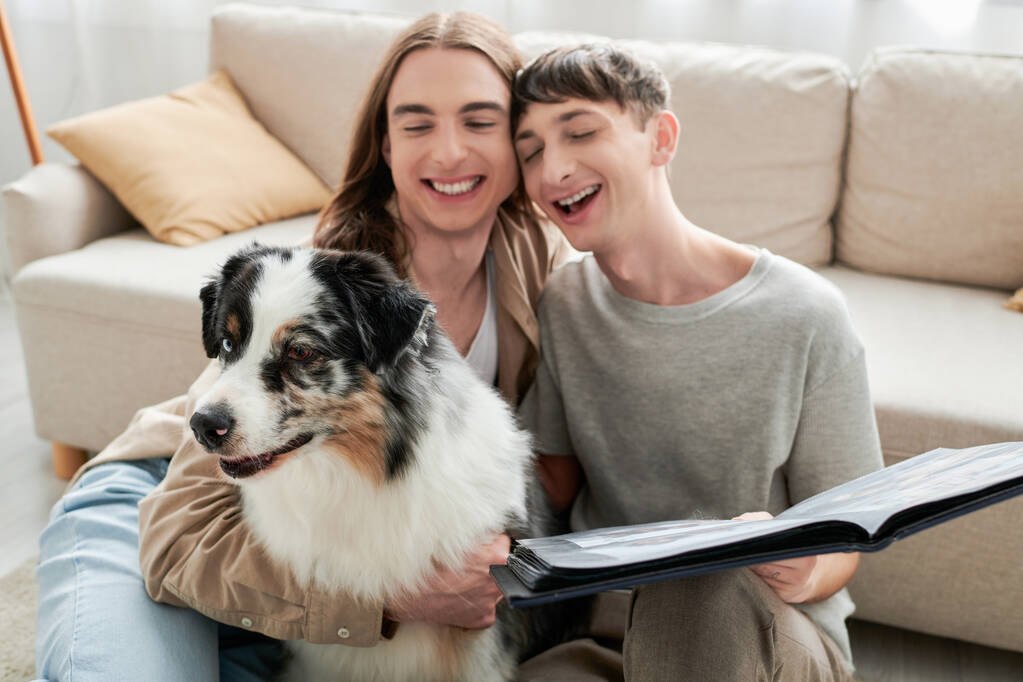 cheerful and young lgbt couple holding photo album in hands and looking at cute Australian shepherd dog while sitting next to couch in modern living room  - Photo, Image