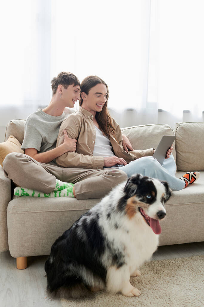 alegre gay hombre sentado en sofá con feliz novio en casual ropa y el uso de portátil juntos cerca australiano pastor perro dentro de sala de estar en moderno apartamento  - Foto, Imagen