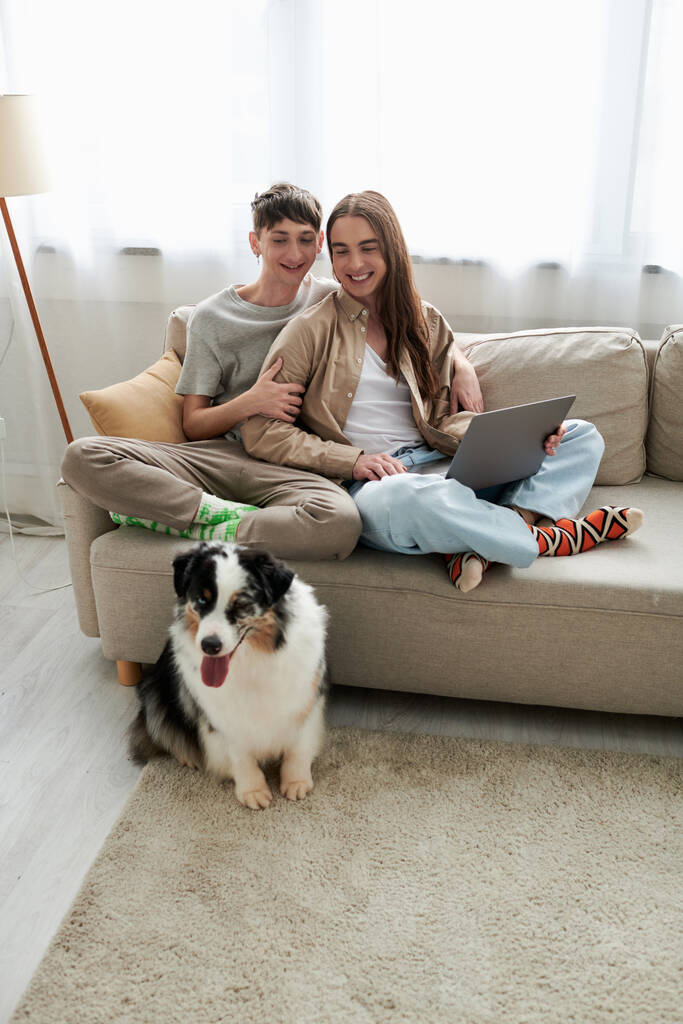 feliz casal lgbt em roupas casuais sentado no sofá com laptop e sorrindo enquanto olha para cão pastor australiano no tapete dentro da sala de estar no apartamento moderno  - Foto, Imagem