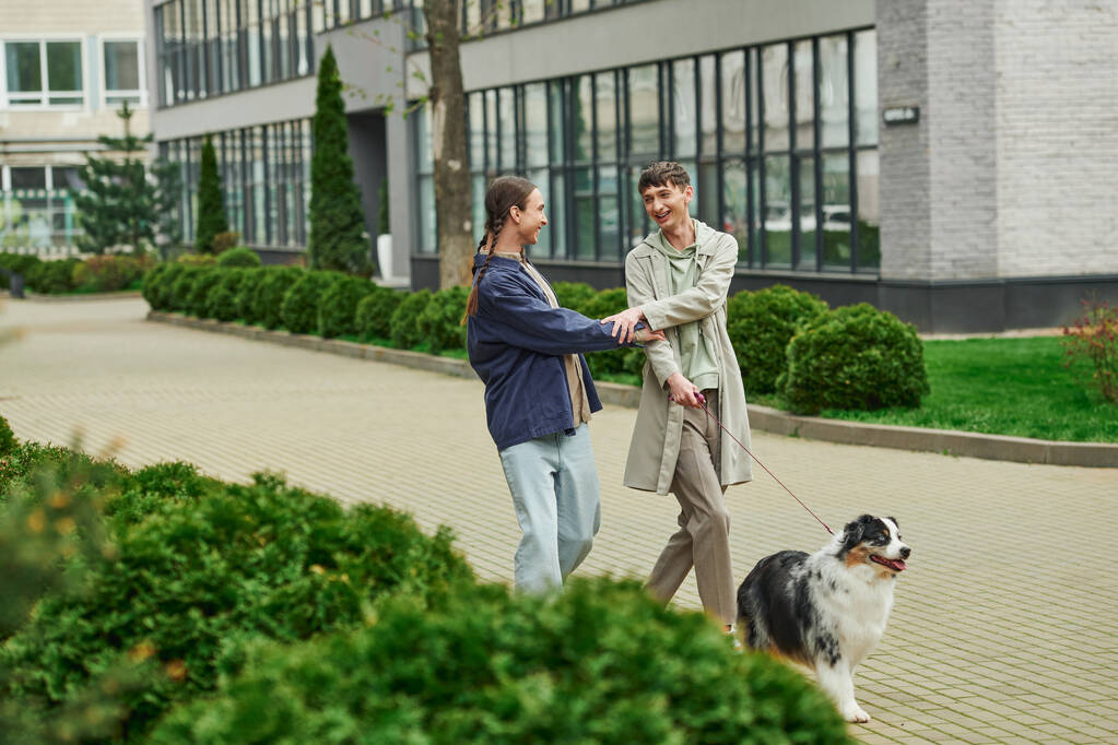 feliz casal lgbt de mãos dadas e trela de cão pastor australiano enquanto caminhando juntos e sorrindo perto de arbustos verdes e edifício moderno na rua urbana  - Foto, Imagem