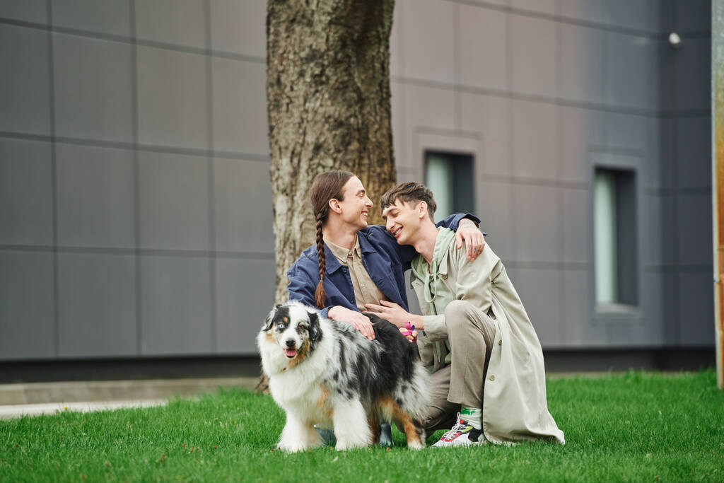 счастливая гей-пара обнимается и сидит на зеленой траве рядом с австралийской овчаркой, гуляя вместе и улыбаясь рядом с деревом и современным зданием на размытом фоне городской улицы  - Фото, изображение