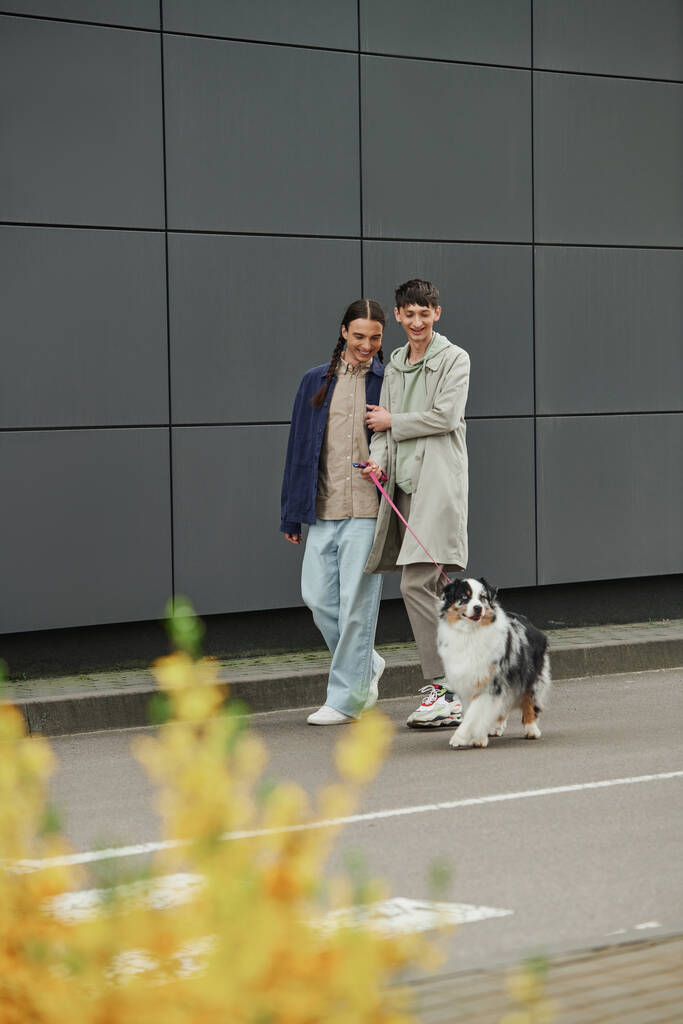 opgewonden gay man met vlechten houden riem van Australische herder hond en lopen met vriendje in casual outfit in de buurt van modern gebouw op stedelijke straat met wazig plant op de voorgrond  - Foto, afbeelding