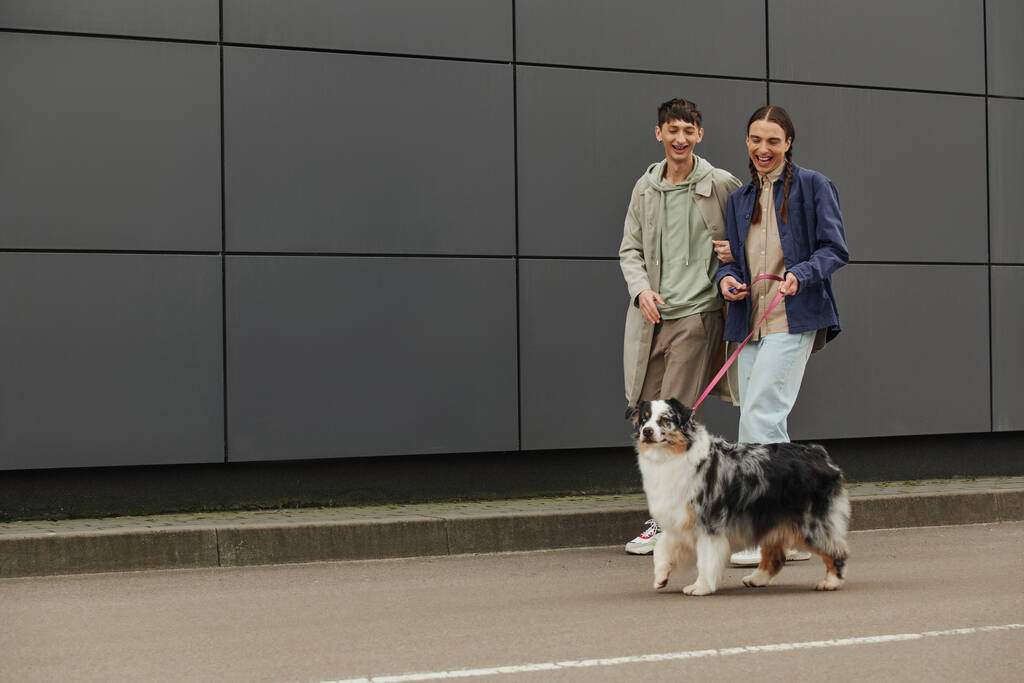 улыбающийся гей с косичками на поводке и гуляющий с австралийской пастушьей собакой и счастливым парнем в повседневной одежде рядом с современным серым зданием  - Фото, изображение