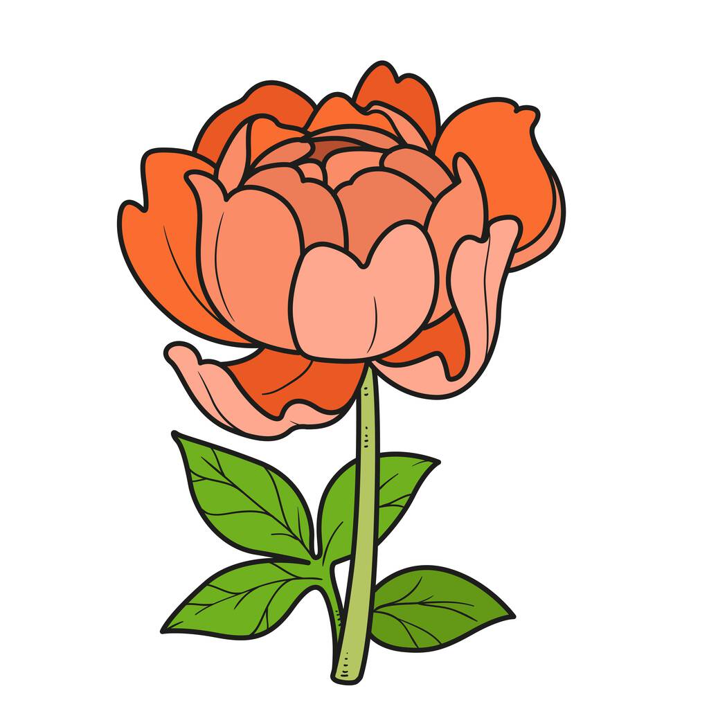 Halb geblasene Rosenfarbe für Malbuch isoliert auf weißem Hintergrund - Vektor, Bild