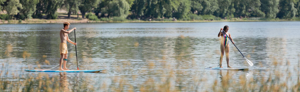 sportowa wieloetniczna para pływająca na deskach sufitowych z wiosłami wzdłuż brzegu rzeki z zielonymi roślinami podczas dnia rekreacji wodnej w letni weekend, sztandar - Zdjęcie, obraz