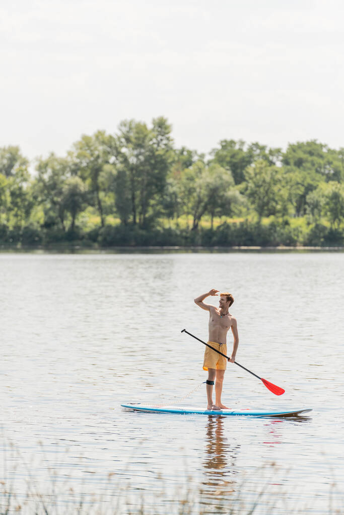 黄色のスポーツマンと赤毛の男の完全な長さはパドルでボード上に立ち、夏の週末の間に銀行の緑の木々と湖を離れて見てショートパンツを泳ぐ - 写真・画像