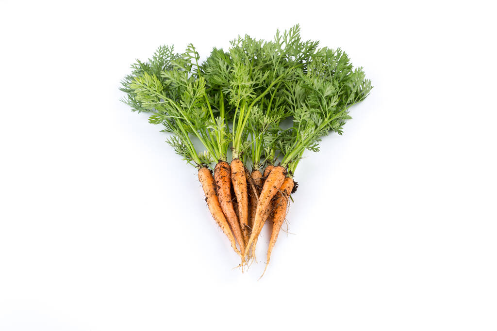 Haufen frisch gepflückter Karotten isoliert auf weißem Grund - Foto, Bild