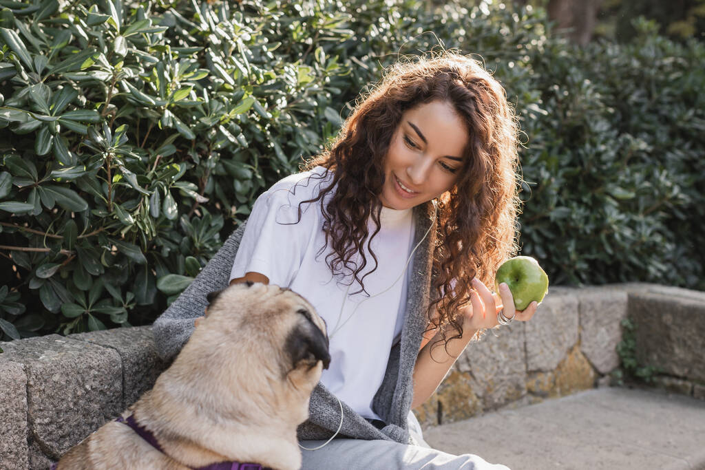 Neşeli ve kıvırcık elbiseli genç bir kadın, elinde taze elma tutan ve İspanya 'nın Barselona kentinde park halindeki yeşil çalıların yanındaki taş bankta oturan köpeğe bakan kulaklıklı bir kadın.  - Fotoğraf, Görsel