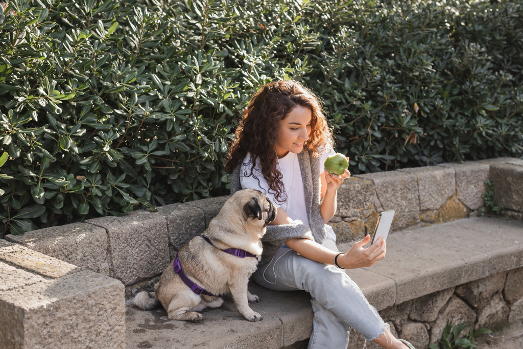 Glimlachende en krullende jonge vrouw in casual kleding met behulp van mobiele telefoon en bedraad koptelefoon terwijl ze verse appel in de buurt van pug hond op stenen bank in Barcelona, Spanje  - Foto, afbeelding
