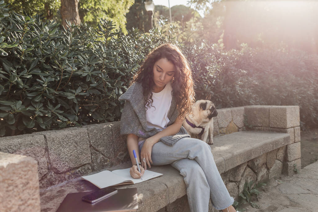 Göndör és fiatal nő alkalmi ruhák írás notebook, miközben ül közelében szerkentyűk és mopsz kutya kő padon és zöld bokrok a parkban Barcelonában, Spanyolország, szabadúszó  - Fotó, kép