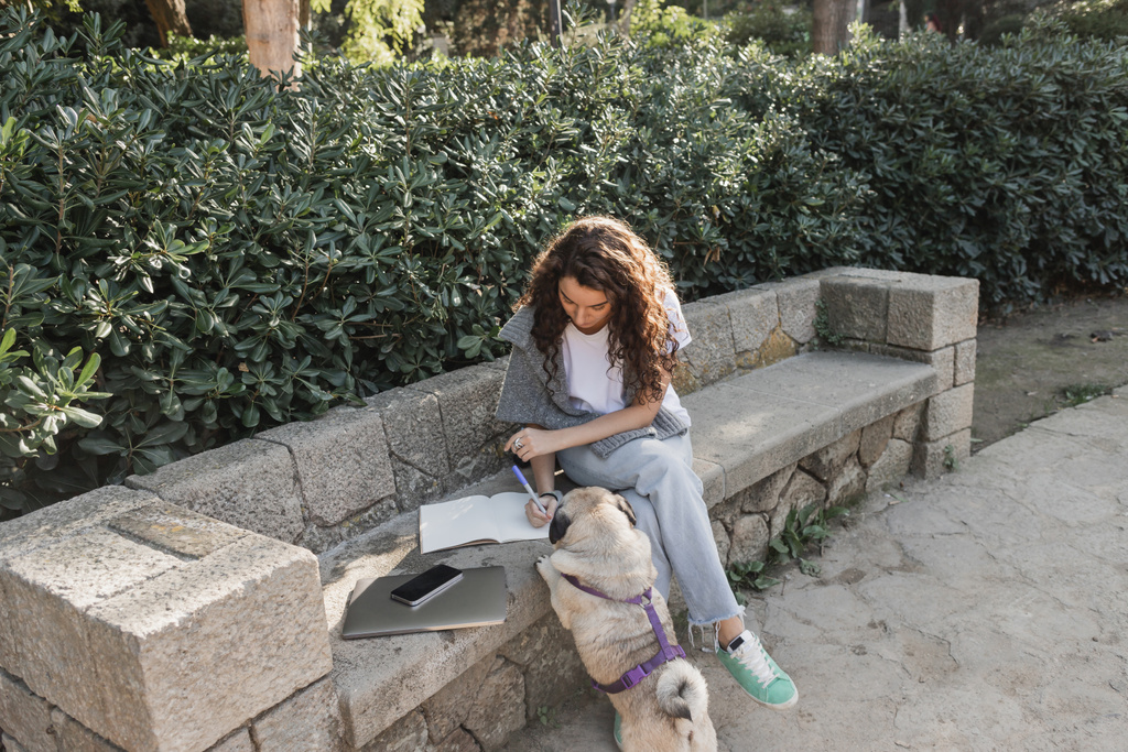 Curly e jovem mulher em roupas casuais escrevendo no notebook perto de gadgets e pug dog sentado no banco de pedra enquanto passa o tempo no parque verde em Barcelona, Espanha  - Foto, Imagem