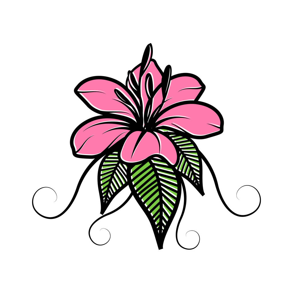 Рожева квітка лілії з зеленим листям на білому тлі. Векторні ілюстрації
 - Вектор, зображення