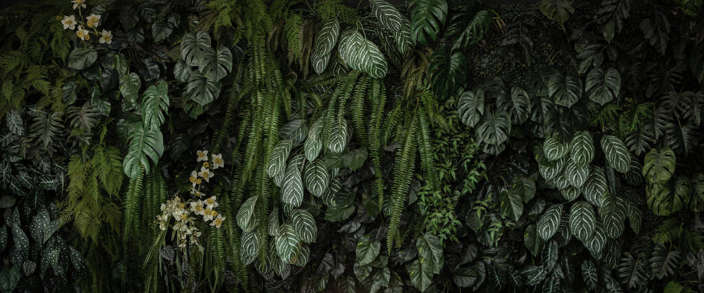 Herb wall, plant wall, natural green wallpaper and background. nature wall. Nature background of green forest - Photo, image