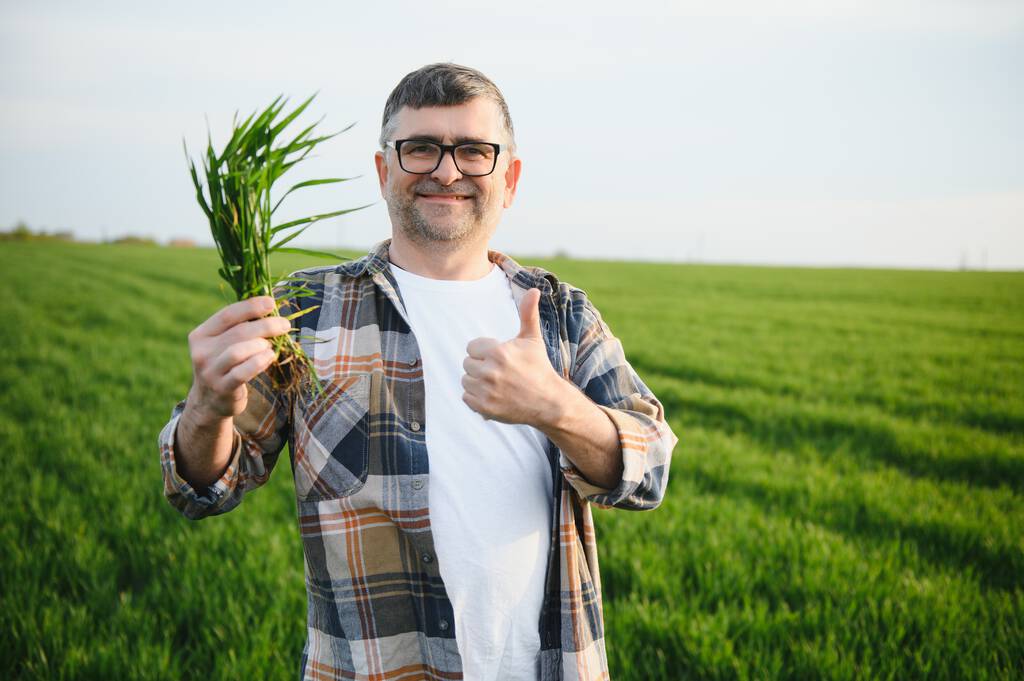 Zkušený a sebevědomý farmář na svém poli. Portrét vysoce postaveného zemědělce v pšeničném poli - Fotografie, Obrázek