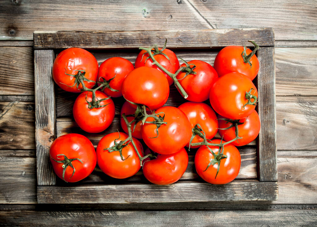 Tomates rojos fragantes en bandeja. Sobre fondo de madera
 - Foto, Imagen